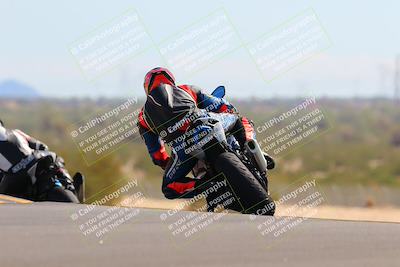 media/Oct-09-2022-SoCal Trackdays (Sun) [[95640aeeb6]]/Turn 9 Backside (120pm)/